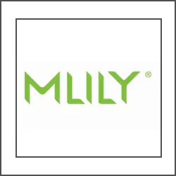 MLily
