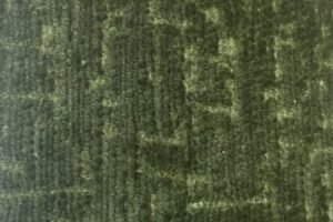 D Titus Olive