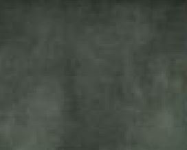 7 Lovely Conifer Fabric